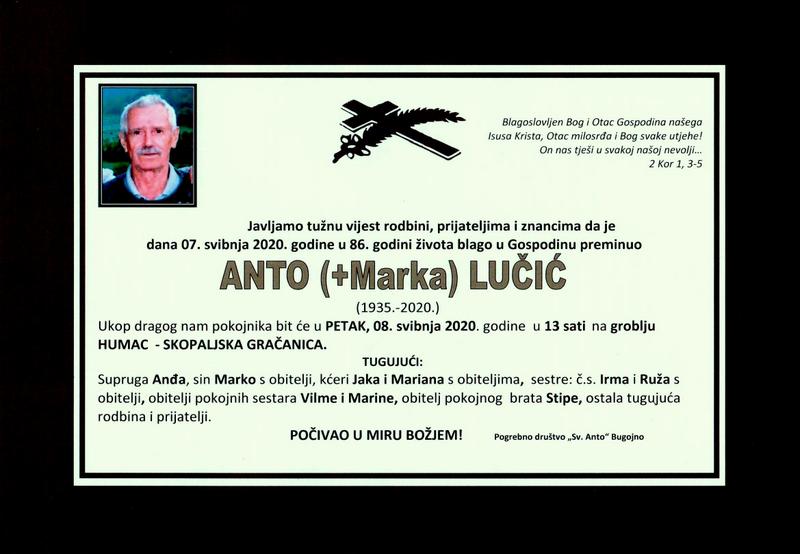 ANTO LUČIĆ873